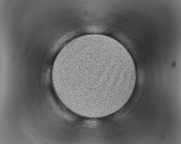 X0000116770071201001071225