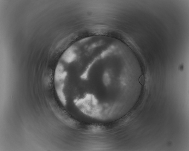 X0000116770073201001071225