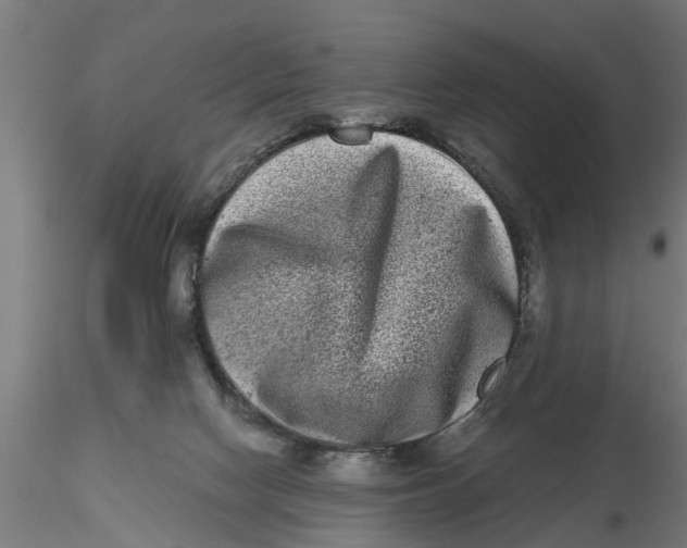 X0000116770074201001071225