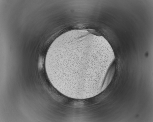 X0000116770075201001071225