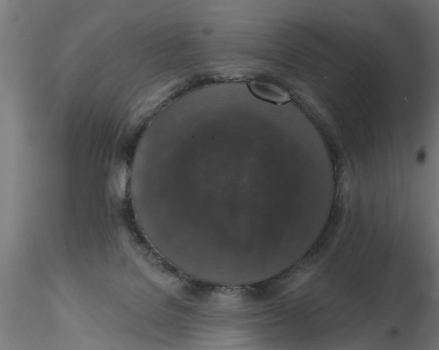 X0000116770076201001071225