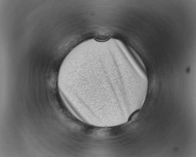 X0000116770078201001071225