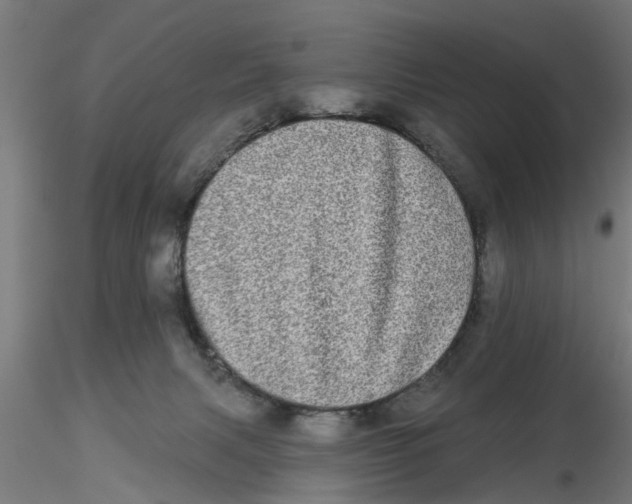 X0000116770079201001071225