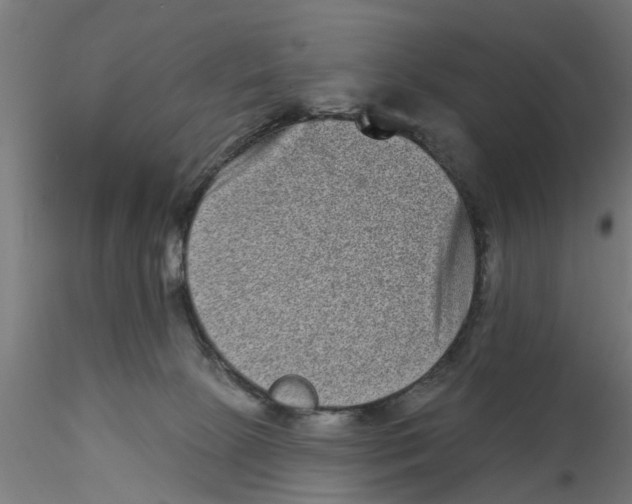 X0000116770081201001071225