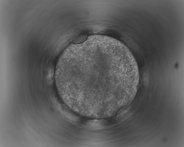 X0000116770082201001071225