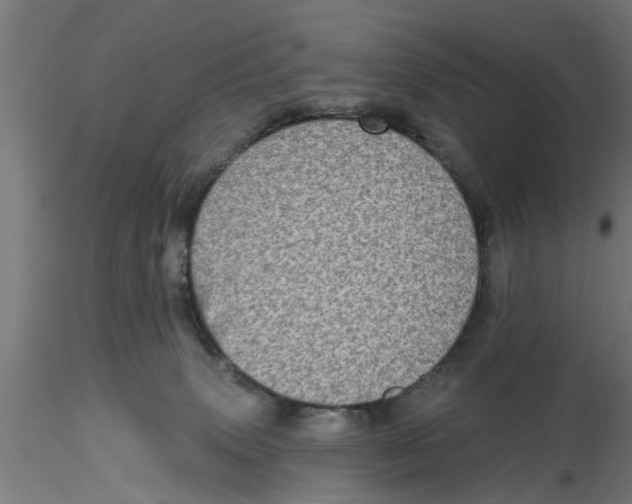 X0000116770083201001071225