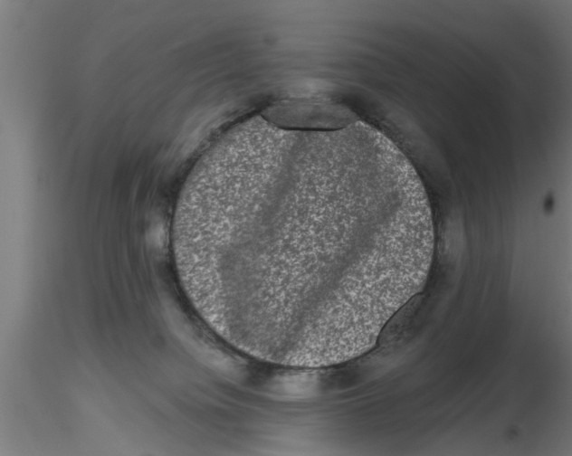 X0000116770084201001071225
