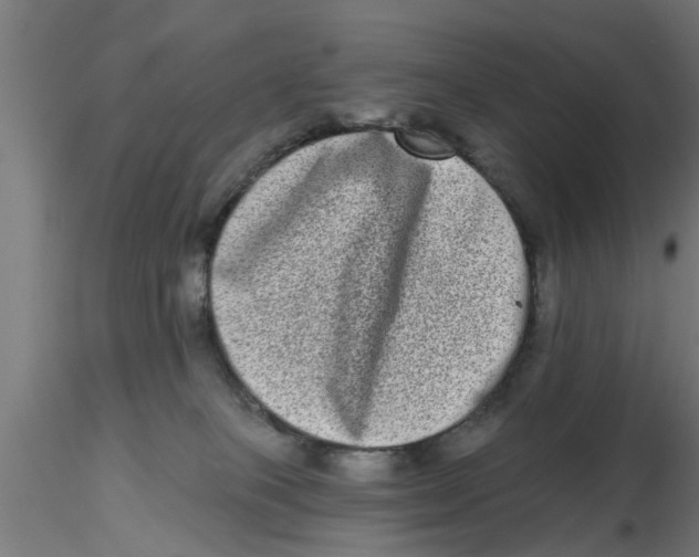 X0000116770085201001071225