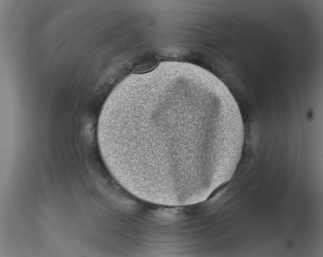 X0000116770086201001071225