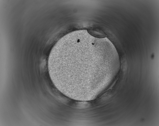 X0000116770087201001071225
