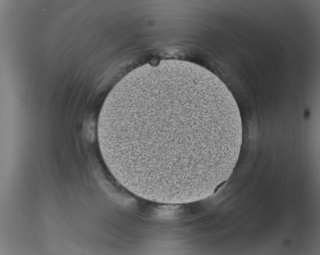 X0000116770090201001071225