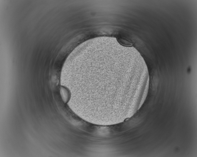 X0000116770091201001071225