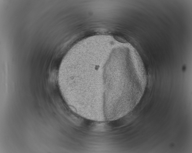 X0000116770093201001071225
