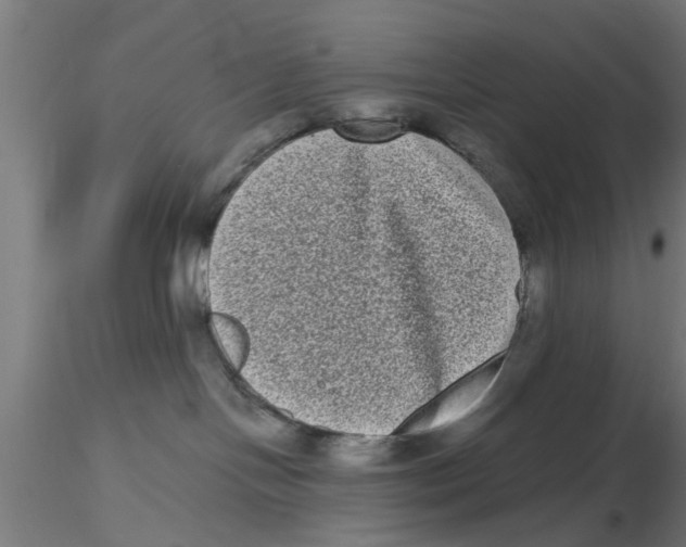 X0000116770094201001071225