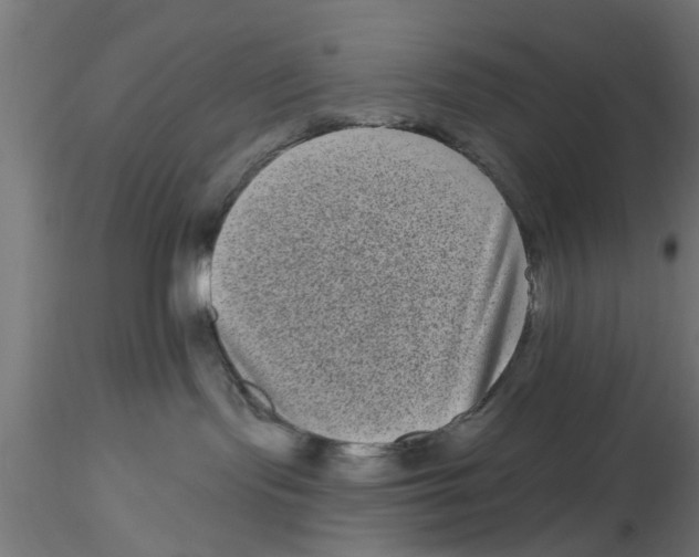 X0000116770095201001071225