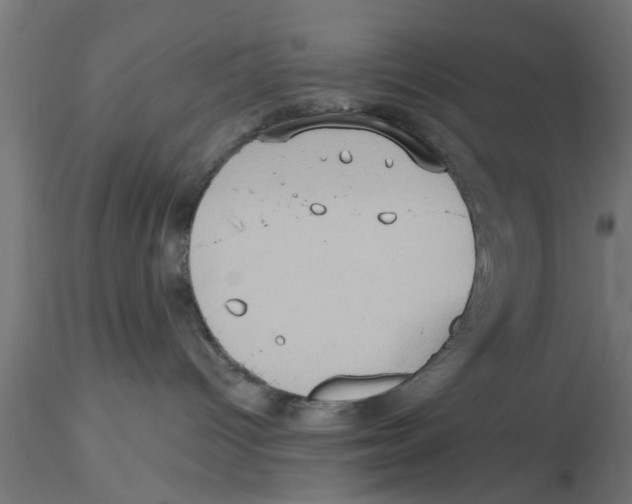 X0000116770096201001071225