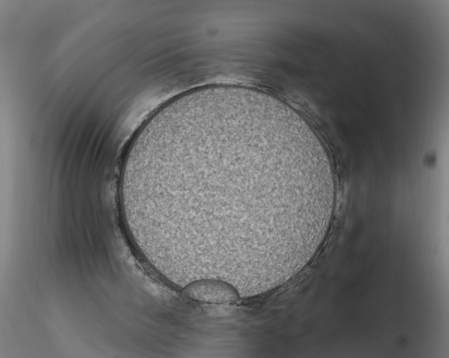 X0000116770098201001071224