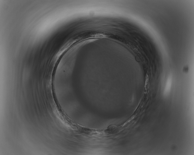 X0000116770099201001071224