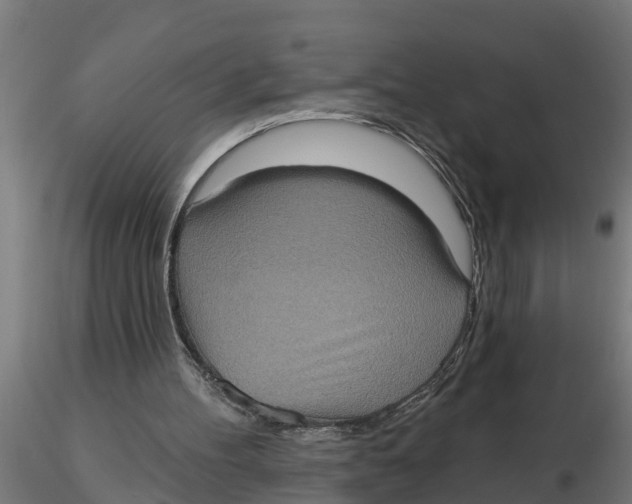 X0000116770100201001071224