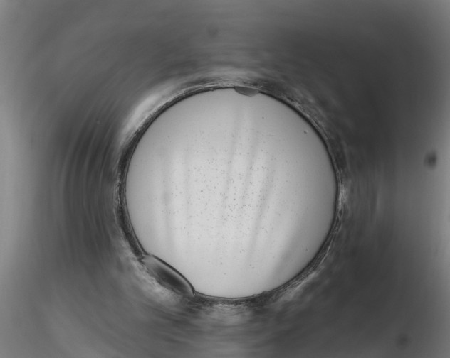 X0000116770101201001071224