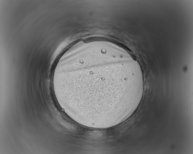 X0000116770102201001071224