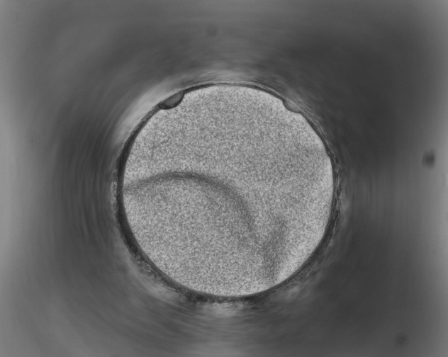 X0000116770103201001071224