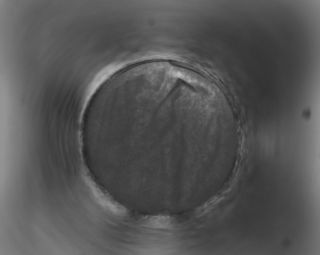 X0000116770104201001071224