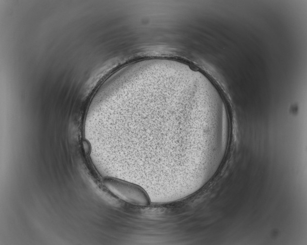 X0000116770105201001071224