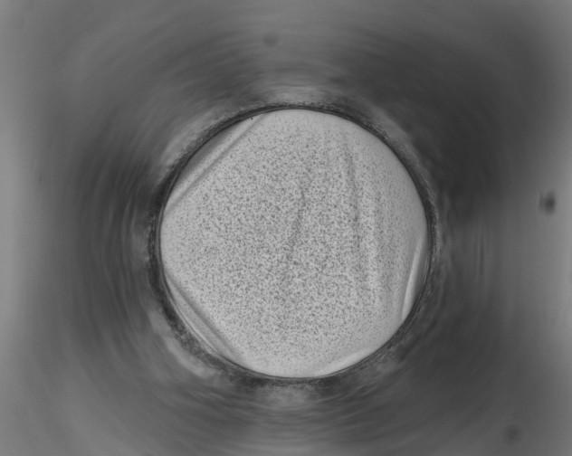 X0000116770106201001071224