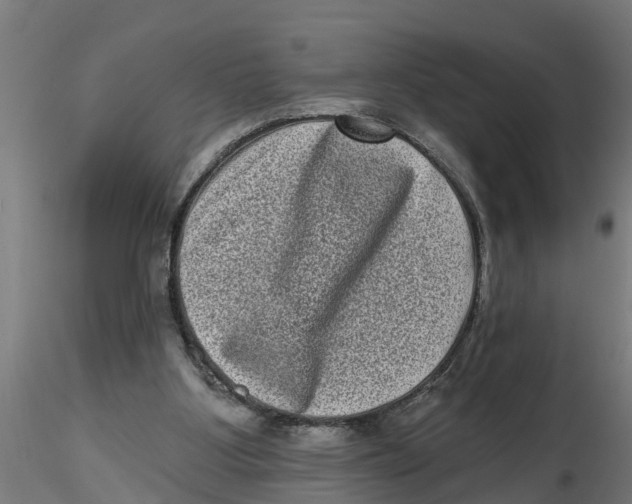 X0000116770107201001071224