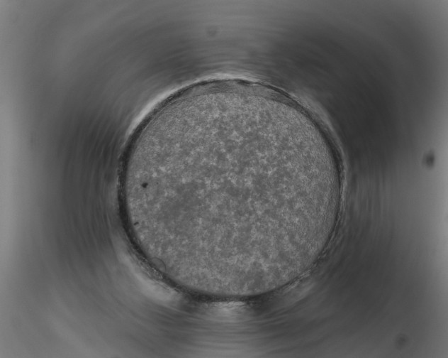 X0000116770108201001071224