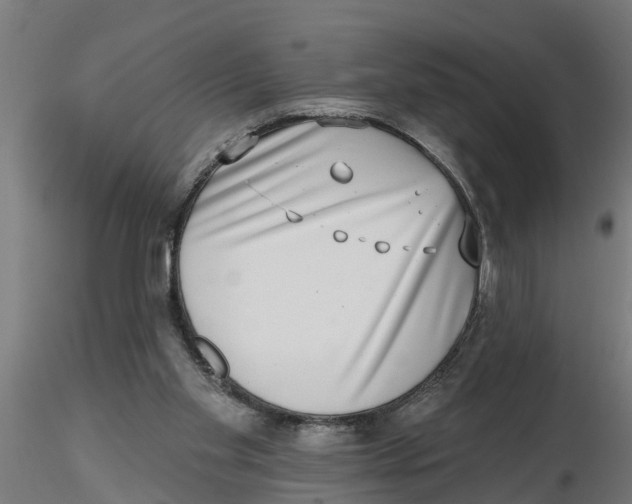 X0000116770109201001071224