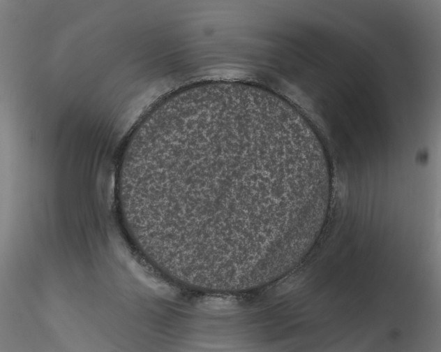 X0000116770110201001071224