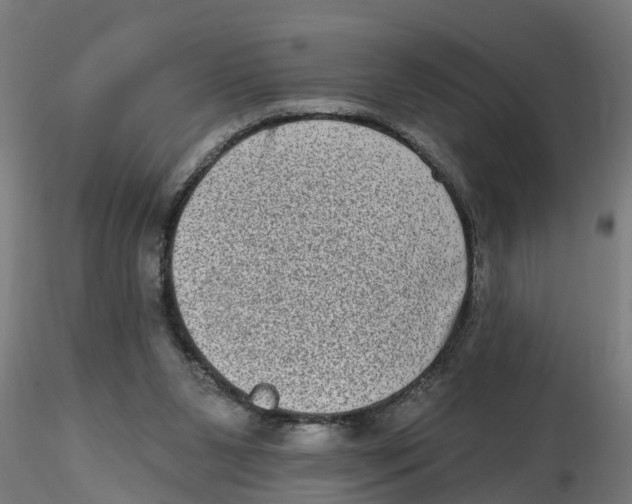 X0000116770111201001071224