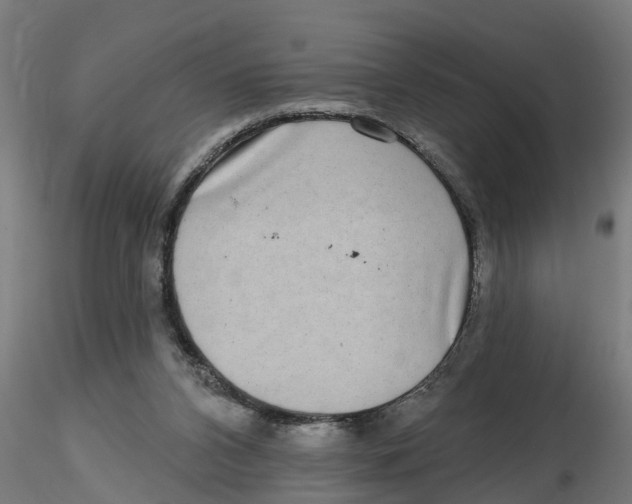X0000116770112201001071224