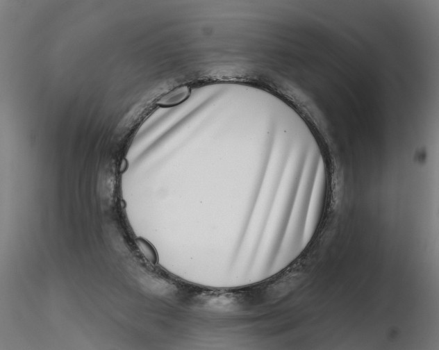 X0000116770113201001071224