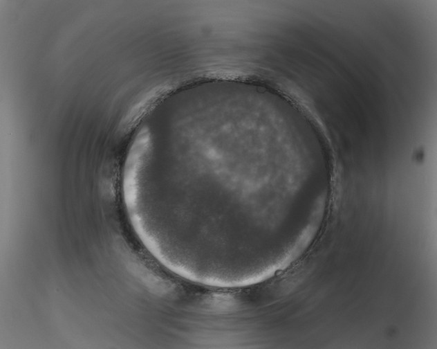 X0000116770114201001071224