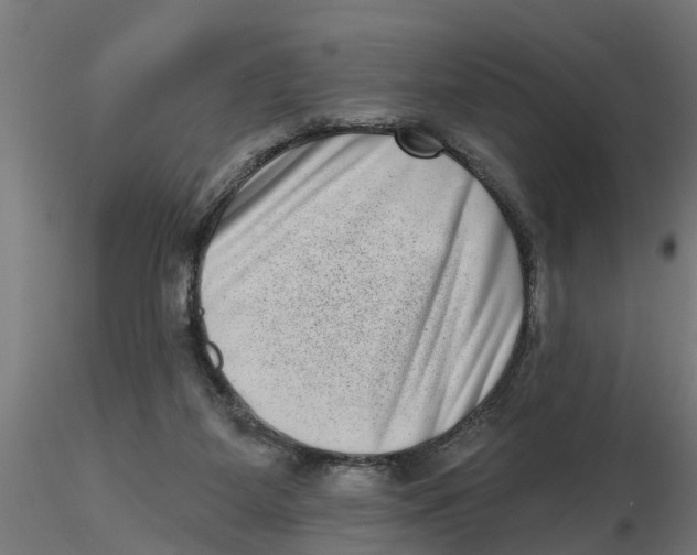 X0000116770115201001071224