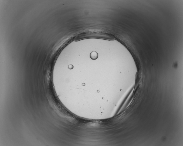 X0000116770116201001071224