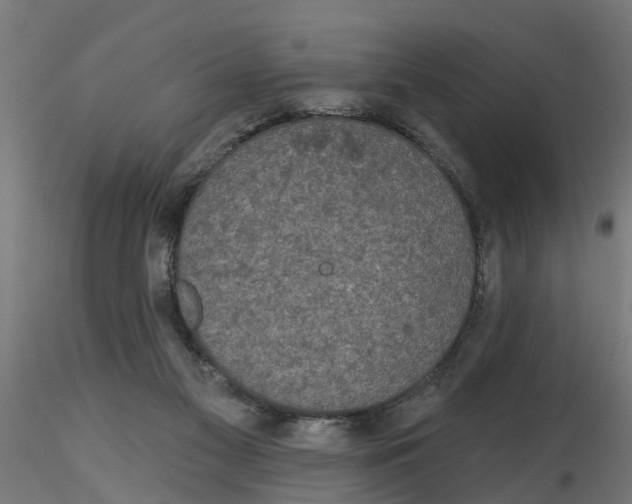 X0000116770117201001071224