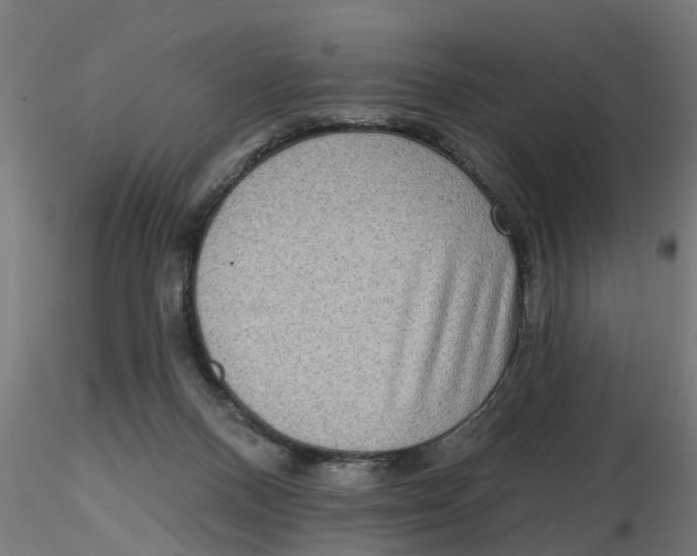 X0000116770120201001071224
