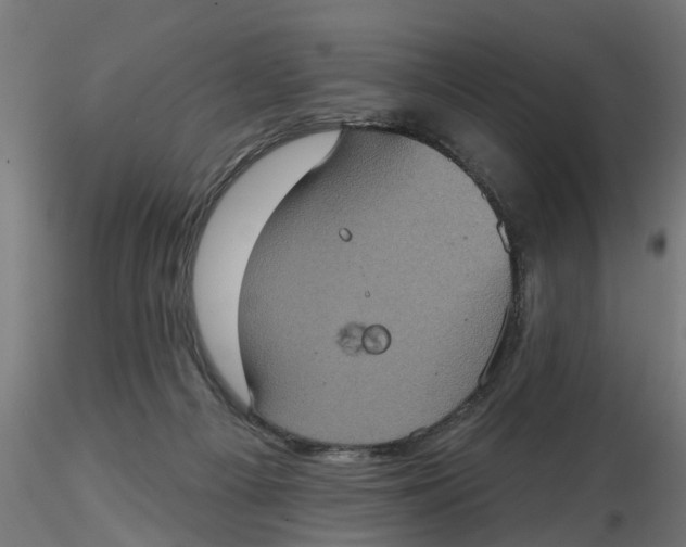 X0000116770121201001071224