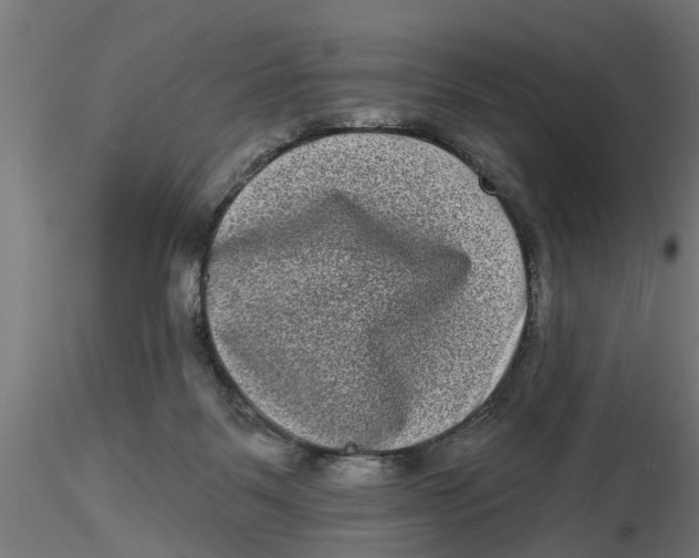 X0000116770123201001071224