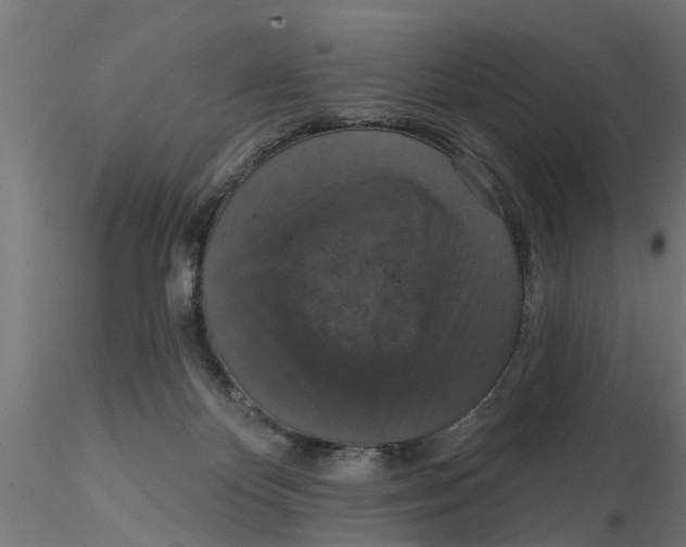 X0000116770124201001071224