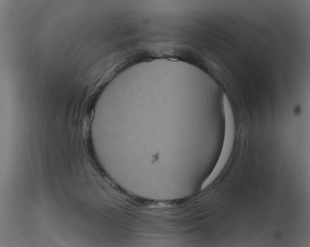 X0000116770125201001071224