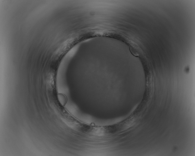 X0000116770127201001071224