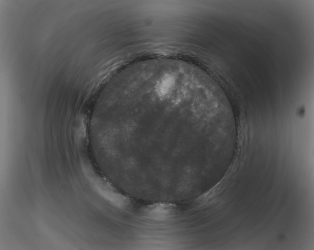 X0000116770128201001071224