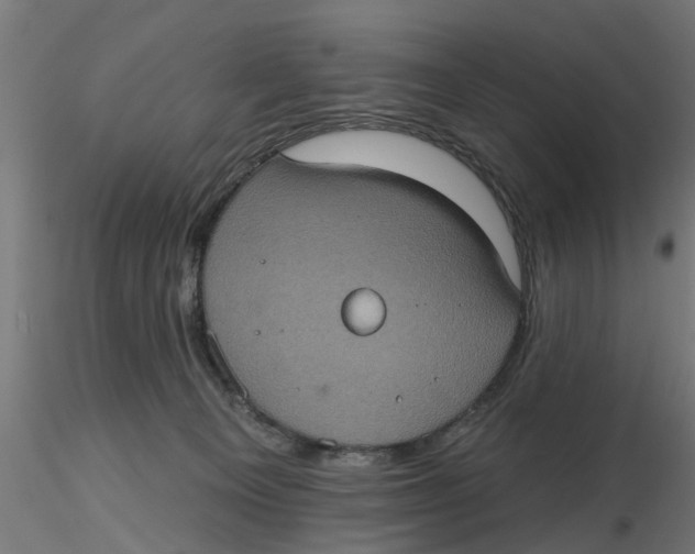 X0000116770129201001071224