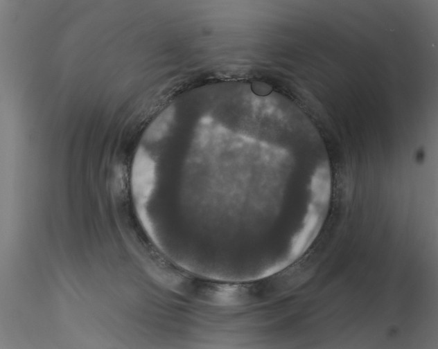 X0000116770130201001071224