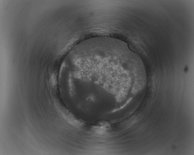 X0000116770131201001071224